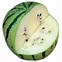 Image result for Heirloom Watermelon
