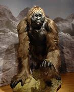 Image result for Biggest Creature That Ever Lived