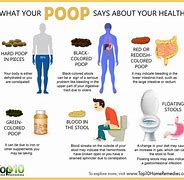 Image result for Going to Poop