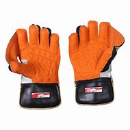 Image result for Dhoni Wicket Keeping Gloves