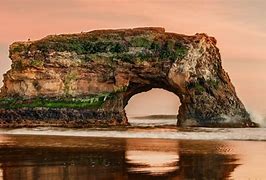 Image result for Natural Bridges State Beach in Santa Cruz California