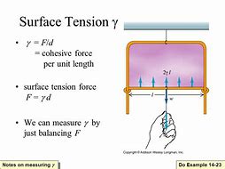 Image result for Surface Tension Units