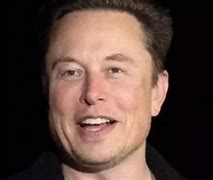 Image result for Musk lost richest title