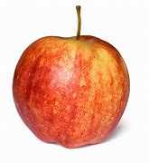 Image result for Fain Apple