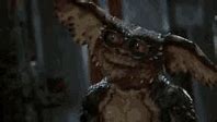 Image result for Gremlins Multiply