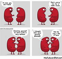 Image result for Kidney Shape Meme