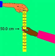 Image result for 1 Meter Stick
