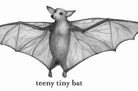 Image result for Bat Pencil Art