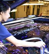 Image result for CBEST Colleges for Being an Aquarist