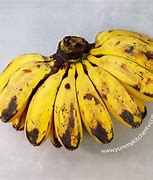 Image result for Saba Banana