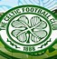 Image result for Plain Celtic Football Top Back Picture