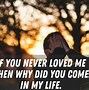 Image result for Quotes About Fake Love and Lies