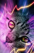 Image result for Purple and Cat Wallpaper HD