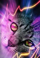 Image result for Trippy Cat Wallpaper Full HD
