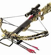 Image result for Crossbow Accessories