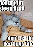 Image result for Goodnight Baby Memes