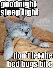 Image result for Good Night Bed Memes
