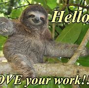 Image result for Sloth Work Meme