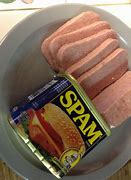 Image result for Spam Costume