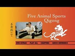 Image result for Five Animal Frolics Qigong