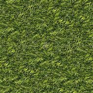 Image result for Vegetation Texture Seamless