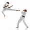 Image result for Karate Kick