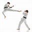 Image result for Styles of Martial Arts