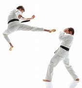 Image result for What Are Some Karate Moves
