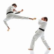 Image result for Best Karate