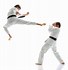 Image result for Karate