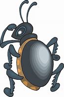 Image result for Melonheadz Insect Clip Art