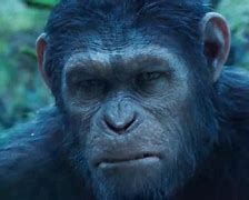 Image result for Rise Planet of the Apes Caesar