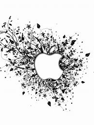 Image result for iPhone 15 Pro Wallpaper