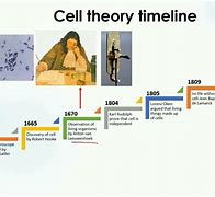 Image result for Evolution of Cells