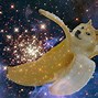 Image result for Space Dog Meme