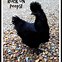 Image result for Chicken Sitting in Rain Meme