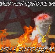 Image result for Die Grumpy Cat Memes
