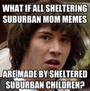 Image result for Sheltered Kid Meme