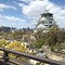 Image result for Osaka Castle Area Top View