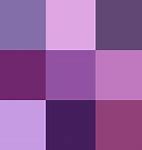 Image result for iPhone 5C Colornames