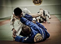 Image result for MMA Brazilian Jiu Jitsu