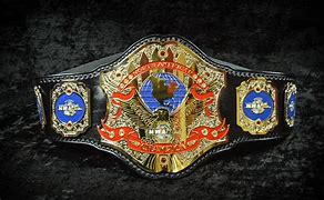 Image result for Wrestling Belts