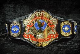 Image result for Professional Wrestling Championship Belts