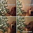 Image result for Hilarious Christmas Eve Memes