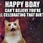 Image result for Funny Birthday Cat Faces