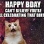 Image result for Happy Birthday Friend Cat