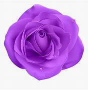 Image result for Purple Rose Clip Art