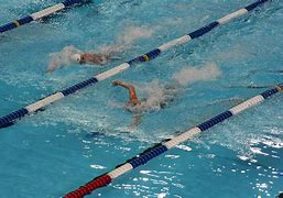 Image result for Olympic Swimming Sport