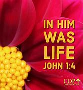 Image result for John 1 4 Clip Art