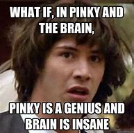 Image result for Pinky and the Brain Meme Angry